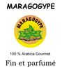 Caf� vert : Guatemala MARAGOGYPE Sup�rieur